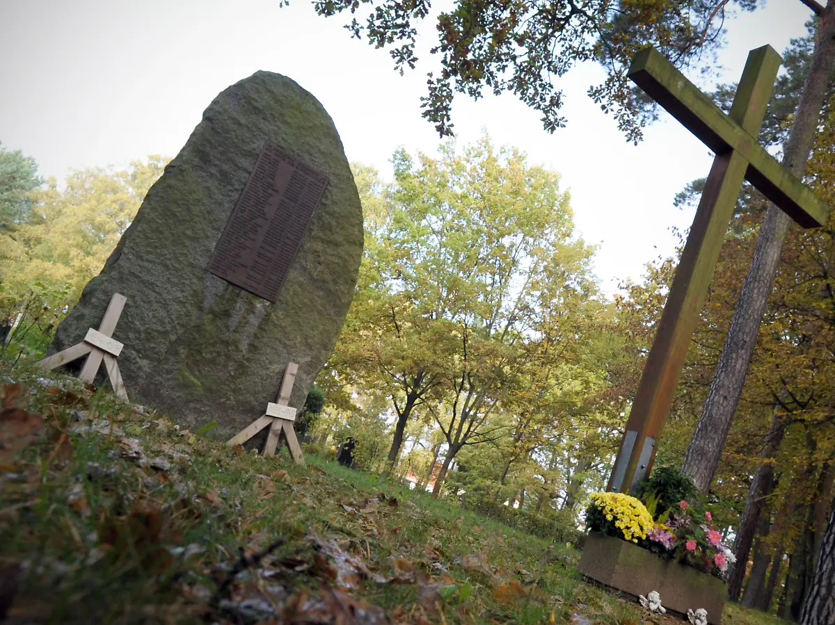 3el20126-jpg8600242649170490327