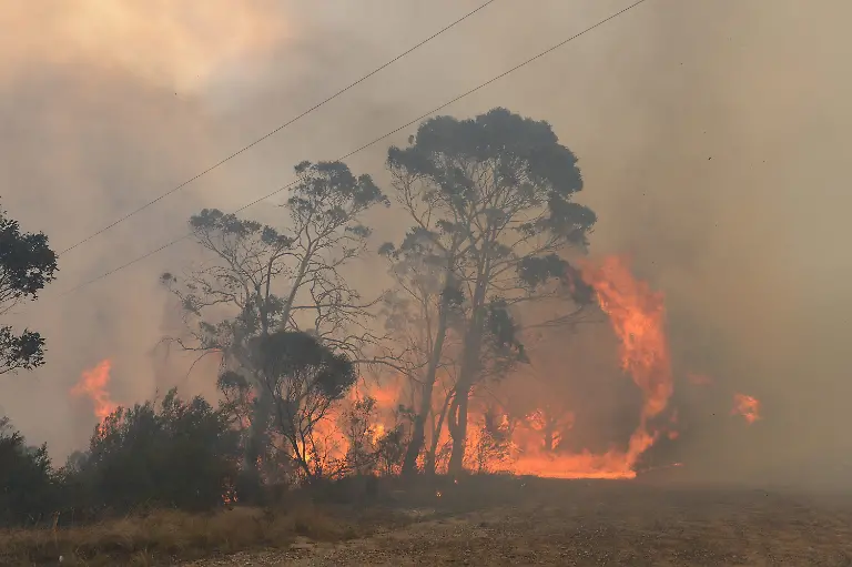 3eky3738-jpg5339518132311427019