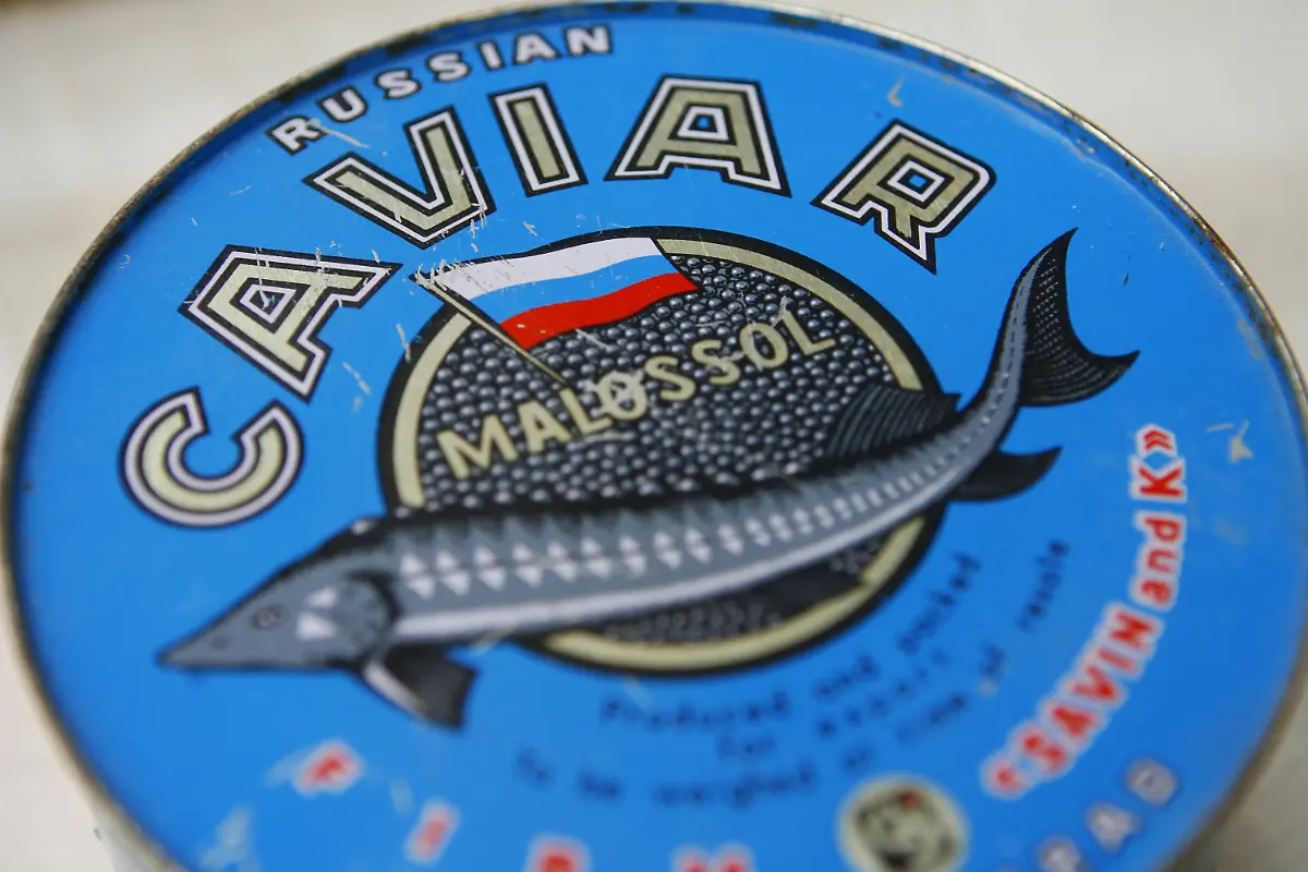 3efq1617-jpg453709154752240286