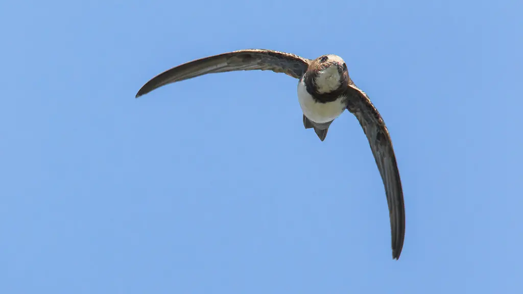 Nur-zur-redaktionellen-Verwendung-im-Zusammenhang-mit-der-aktuellen-Berichterstattung