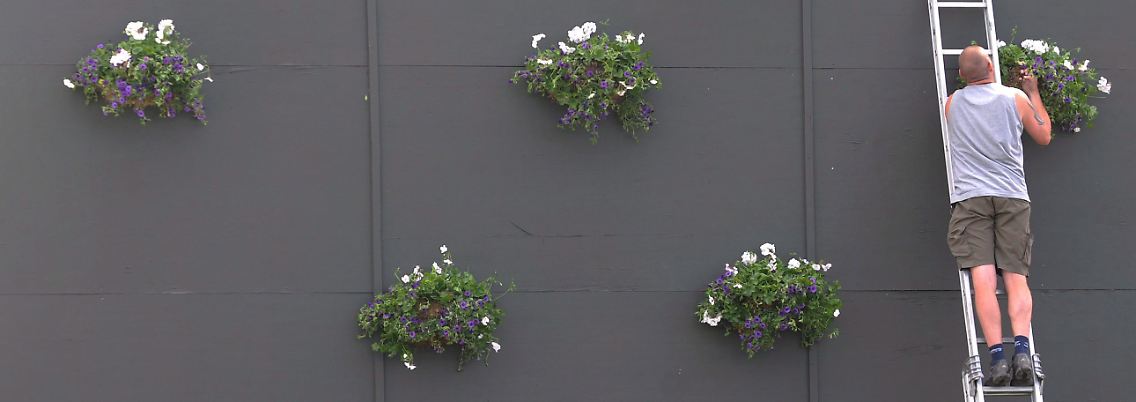 Letzte Vorbereitungen in Wimbledon: Am 22. Juni beginnt das berühmteste Tennisturnier der Welt.