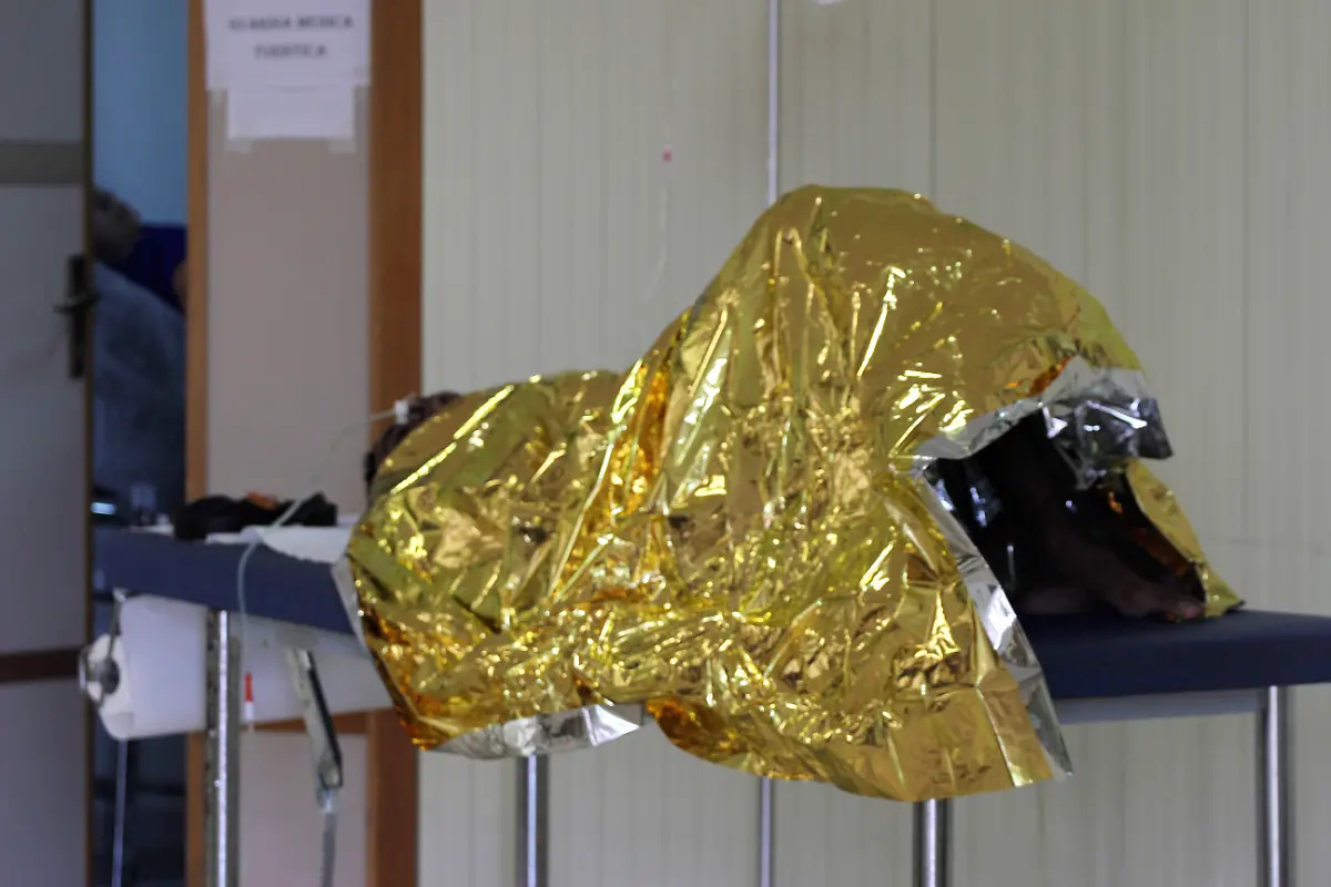 32868600AC380AB6-jpg4020233810291791556