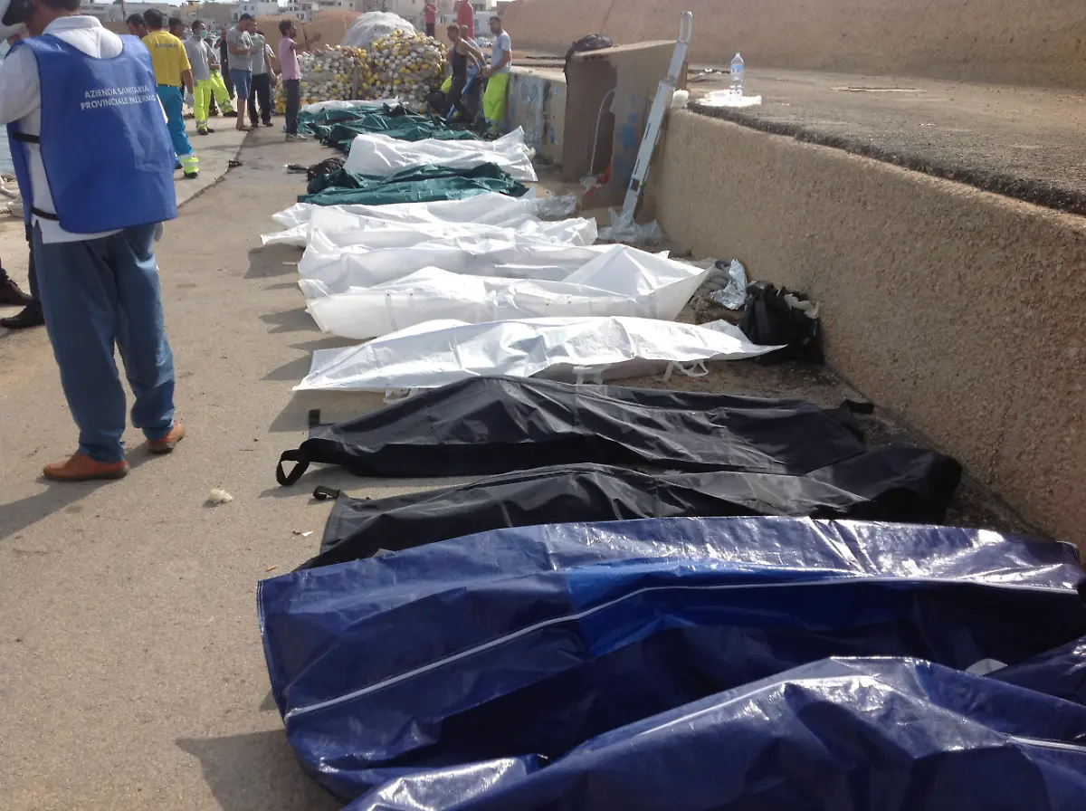 3286860056A805FF-jpg9178556667814530716