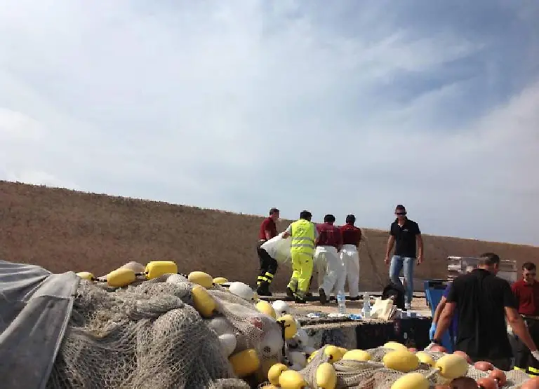 3ebo5733-jpg9002547514108632338