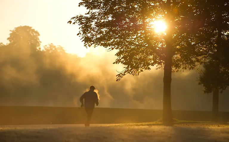 3eax5501-jpg1621370148079874871