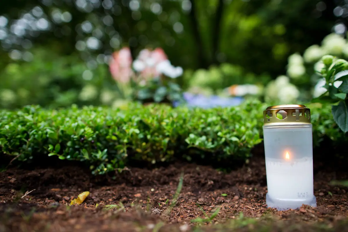 3e5s0112-jpg1934289759142634803