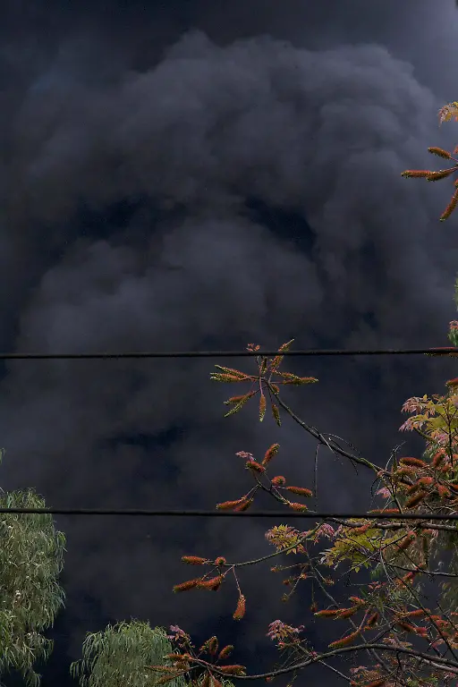 2013-09-23T113856Z-311163845-GM1E99N1IGC01-RTRMADP-3-KENYA-ATTACK-JPG1829434265534175655