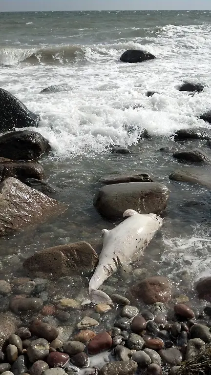 3e1q0234-jpg1109845843283169375