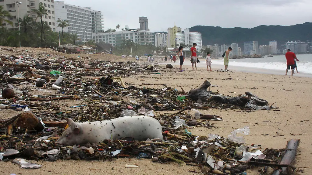 2013-09-17T171853Z-28796557-GM1E99I03HK01-RTRMADP-3-STORM-INGRID-JPG759315982028602513