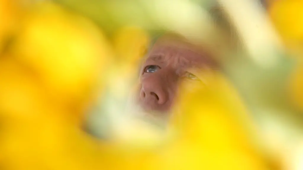 3e0f2147-jpg2121249596008699481