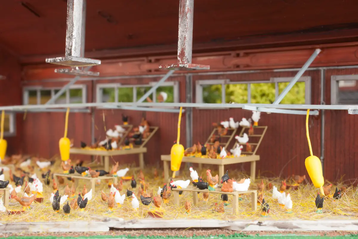 gruene-5-2-tierhaltung