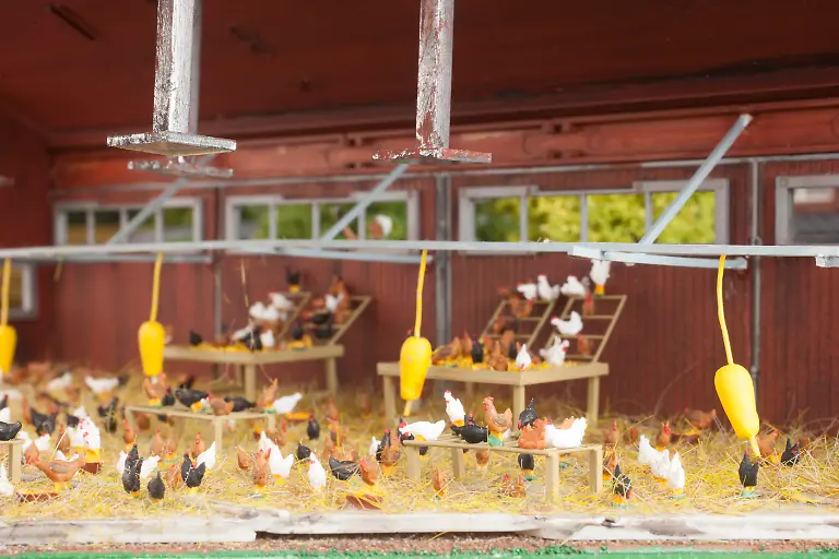 gruene-5-2-tierhaltung