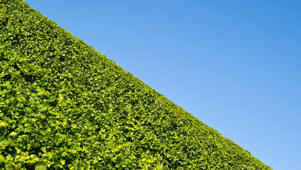 3dst0712-jpg2376547615188837910