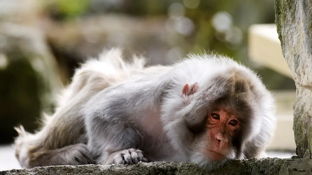 3dst0247-jpg6495963196802601168