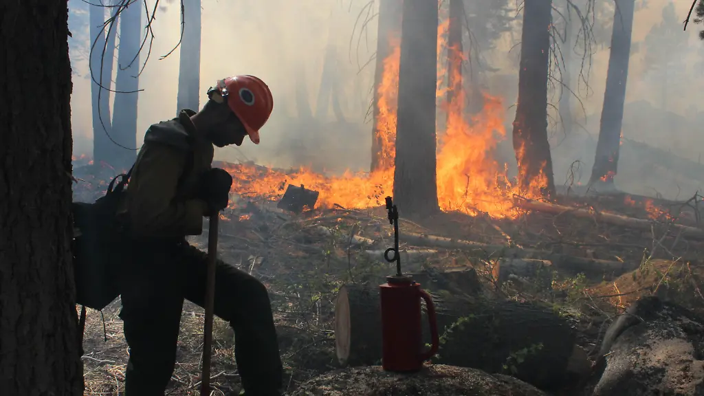 328648009930D051-jpg2041365337499395516