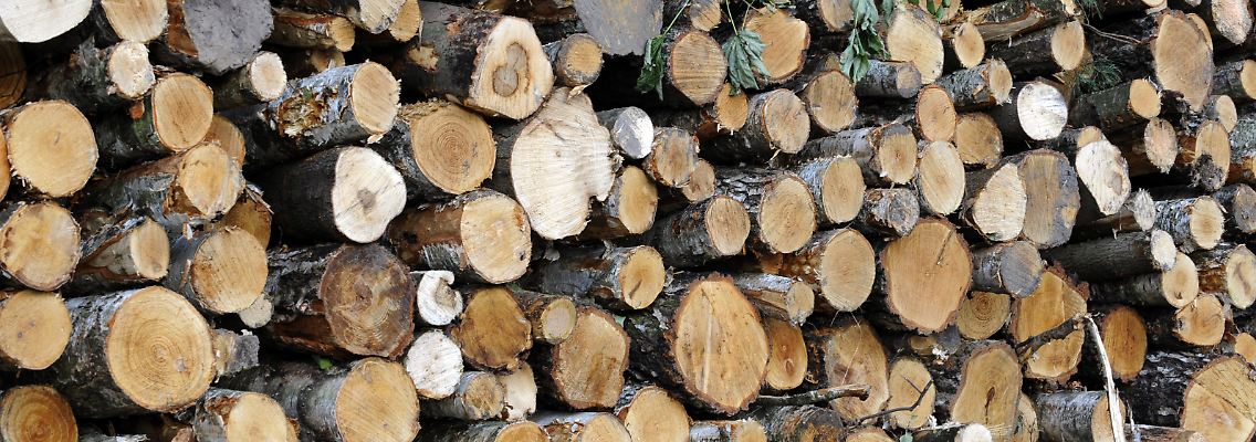 Holz.jpg