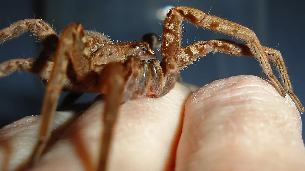 3dhp4949-jpg4145856739791395602