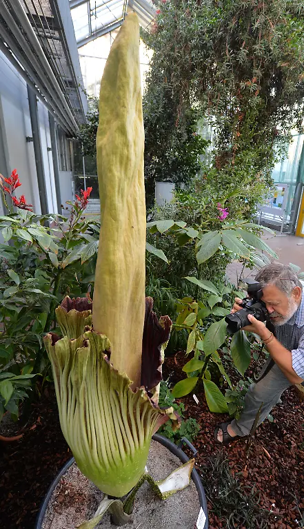 3dfs4310-jpg3792030558788054781