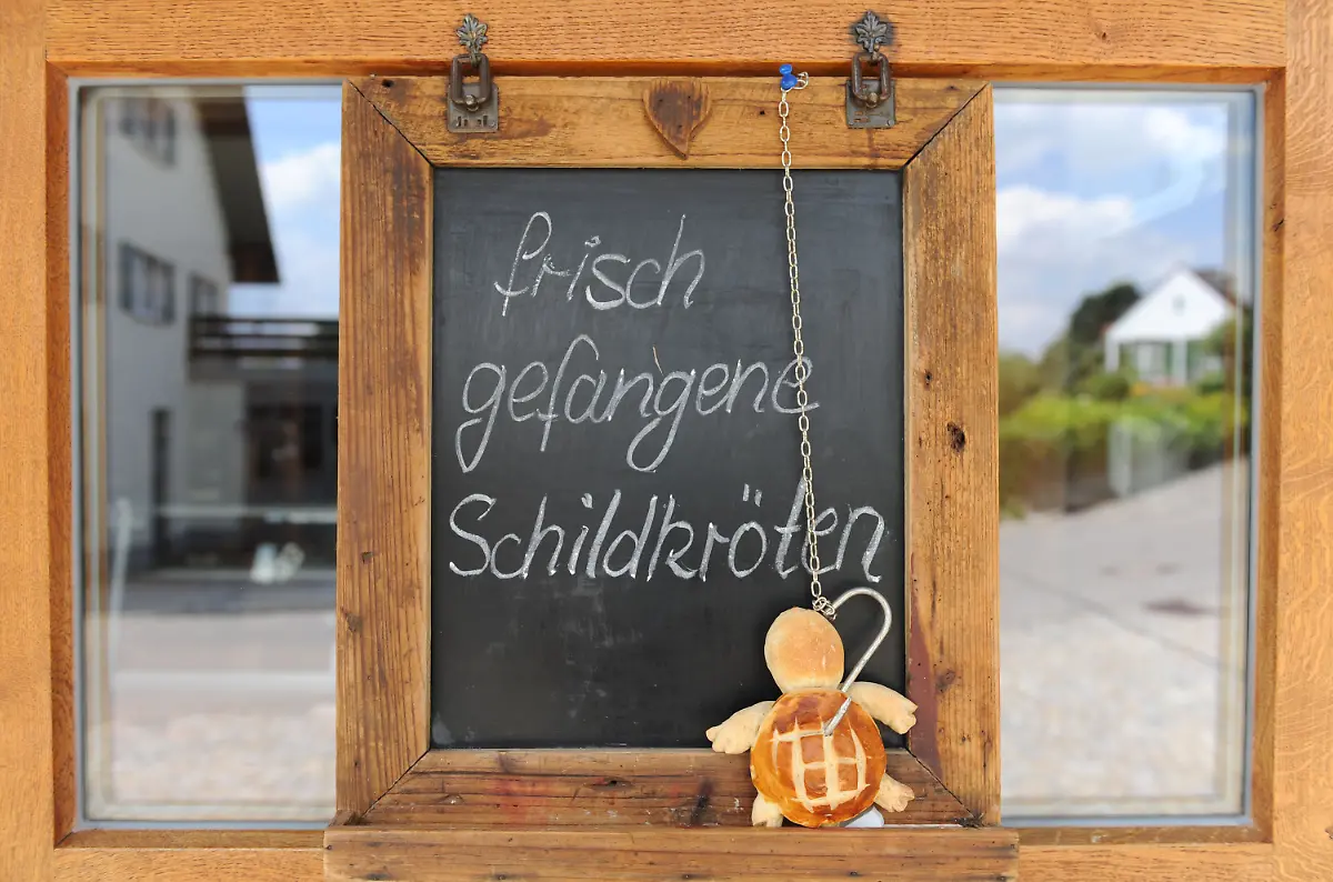 3dbp0607-jpg8558238159113564455