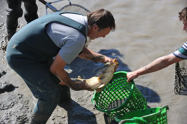 3dbt3823-jpg3662361213309773401