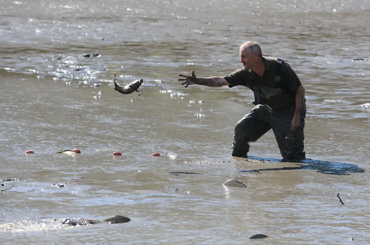 3dbt3737-jpg902108302455967935