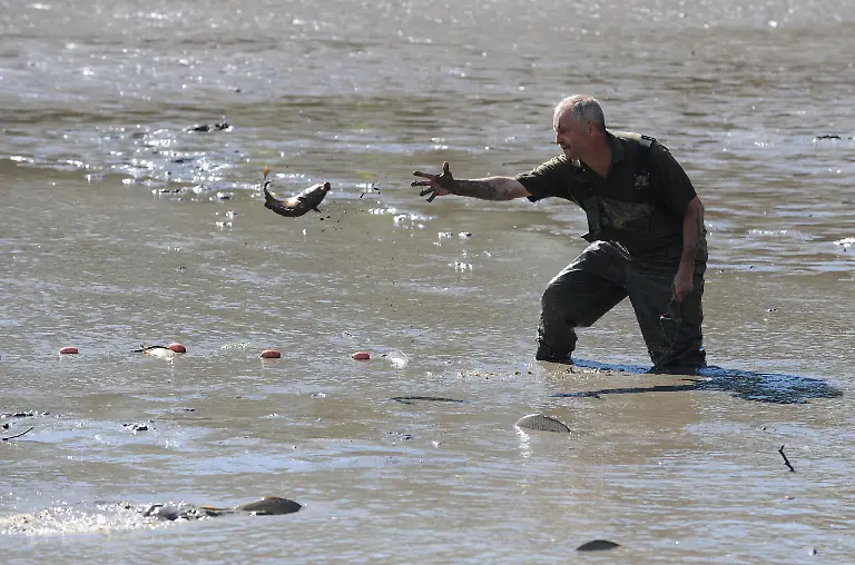 3dbt3737-jpg902108302455967935