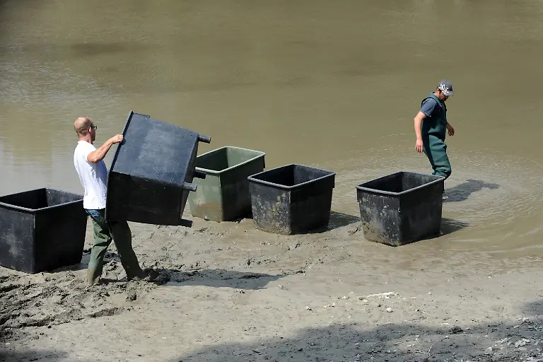 3dbq5744-jpg8149641775860138119