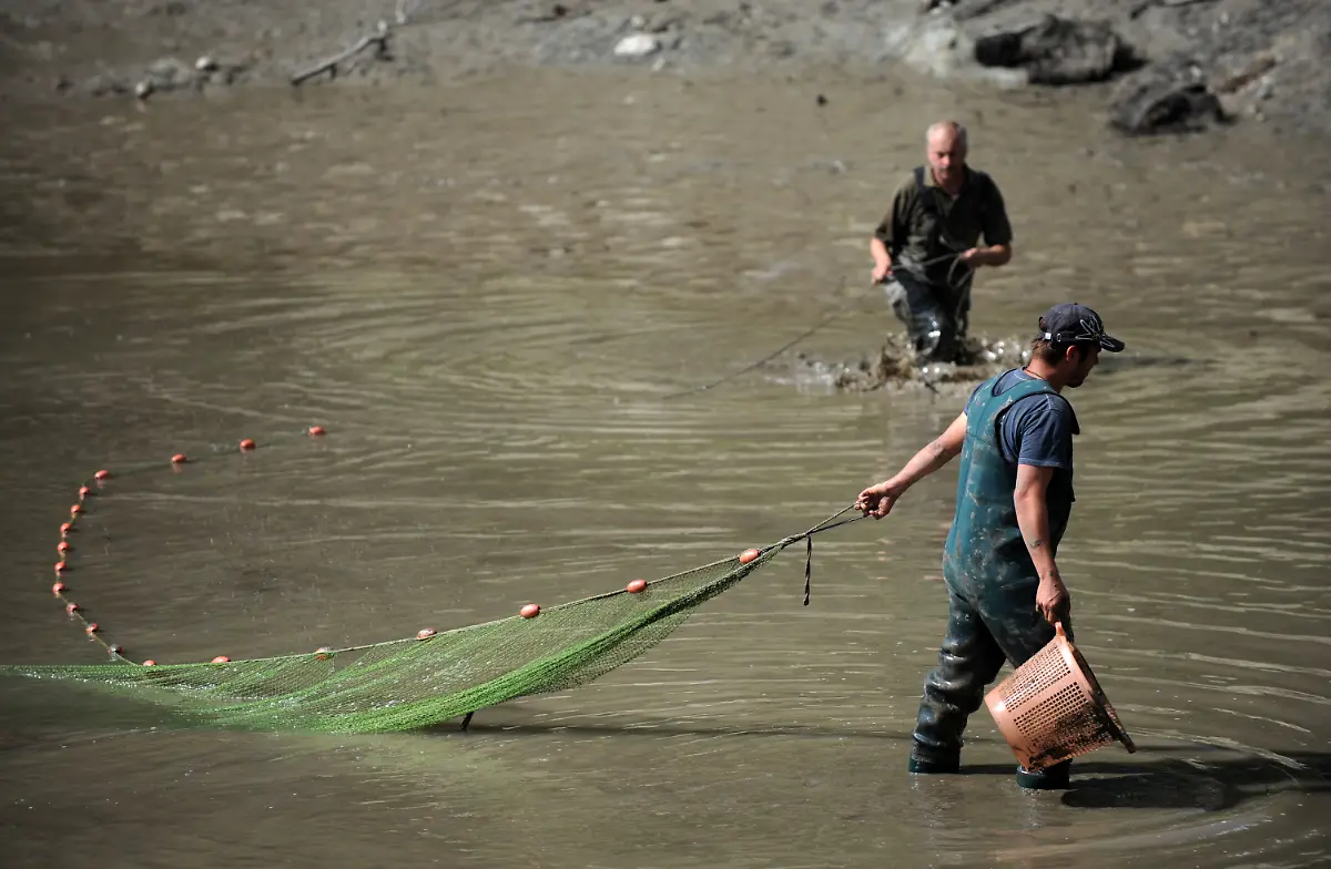 3dbt3942-jpg941712238458814351