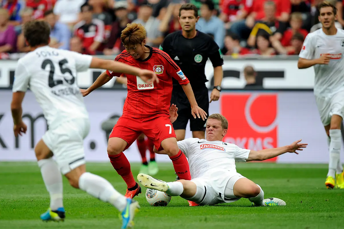 3db42410-jpg8055357723869157646