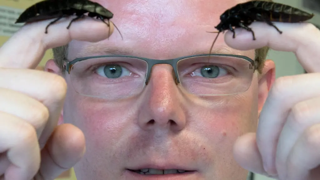 3dat0613-jpg3813867192532163518