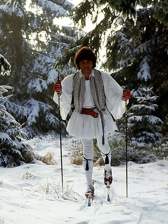 cordalisimago50666132h