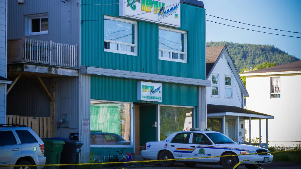 32860E005C894DDA-jpg8767543743005241606