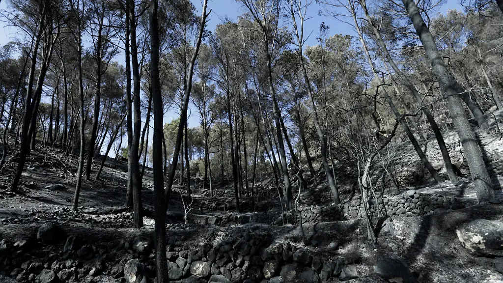 3285F800EB1816CF-jpg4618300338423372474