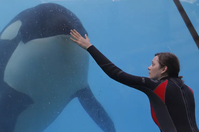 Der-Geschmack-von-Rost-und-Knochen-Szenenbilder-02-300dpi-2