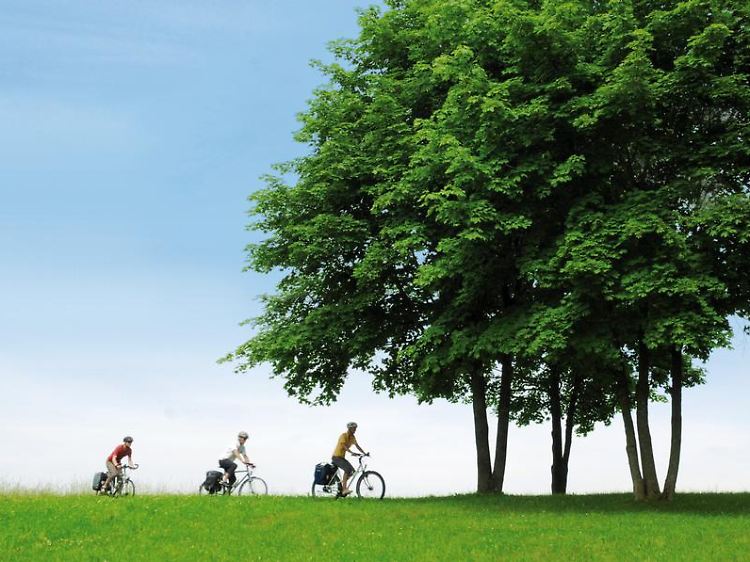 Die Broschüre macht viele Vorschläge, das schöne Mecklenburg per Rad zu entdecken