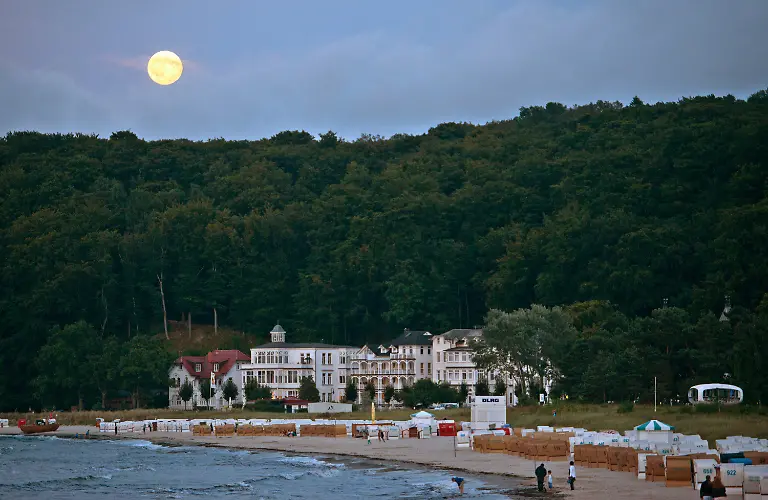 3cyw1329-jpg7101303479445678048