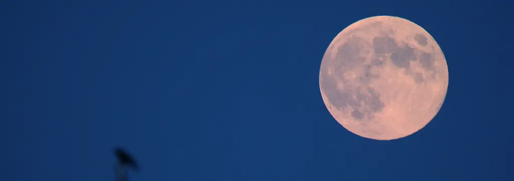 Bild zum Thema Mond