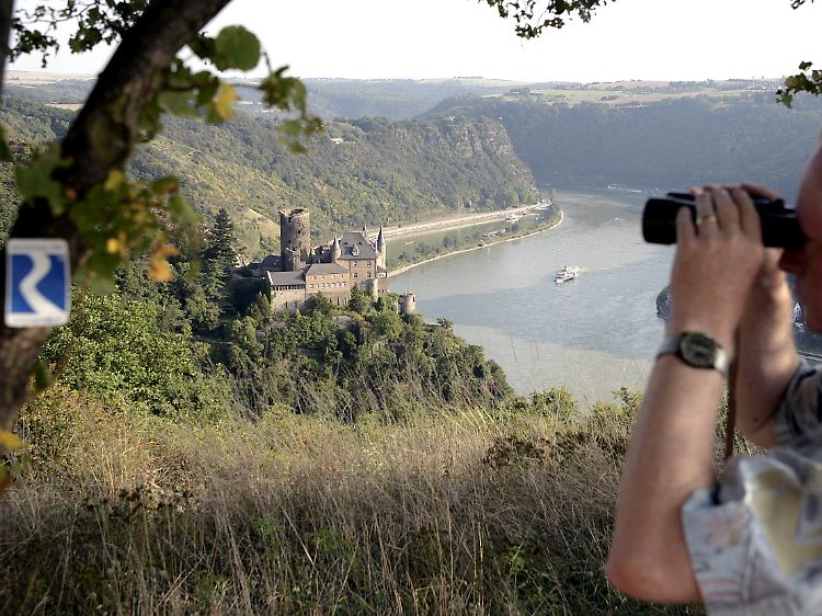 "Rheinsteig" hoch über dem Rhein bei Patersberg vor der Kulisse des Loreleyfelsens und der Burg Katz.