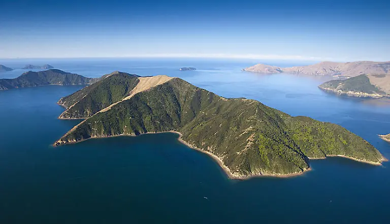 Forsyth-Island-Neuseeland