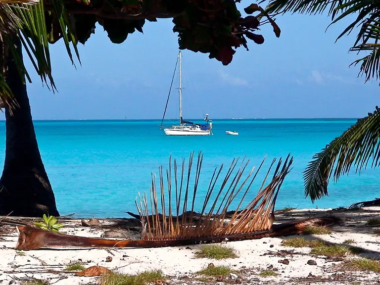 6652014521-4d0a7fb8c6-b