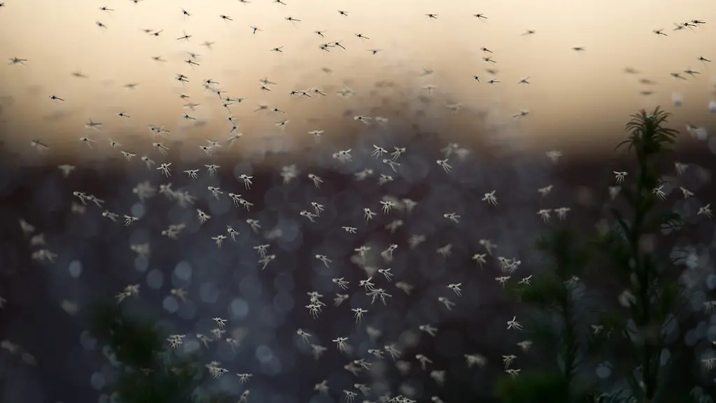 3czh0525-jpg9190639450093804108