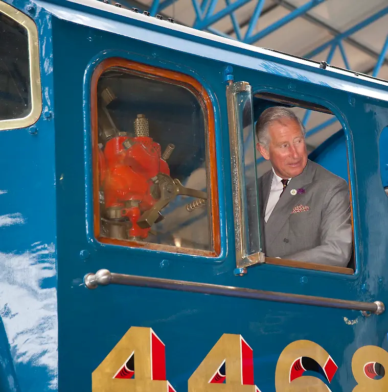 3cyi3641-jpg1809488772090259270