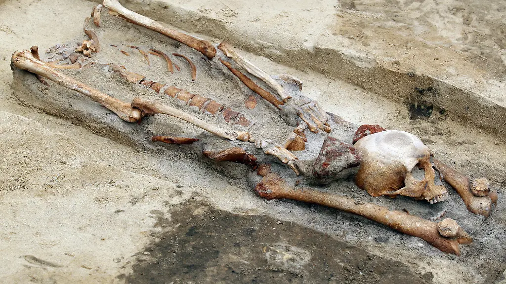 3cxl3058-jpg8007270515817387474