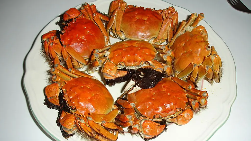 Die-Wollhandkrabbe-wird-gekocht-zur-Delikatesse