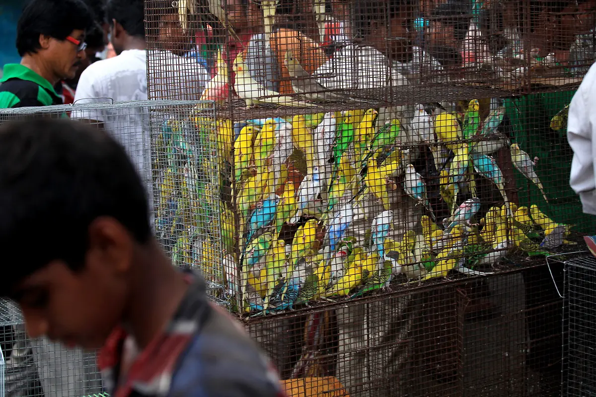 3csz4941-jpg8393496322839072458