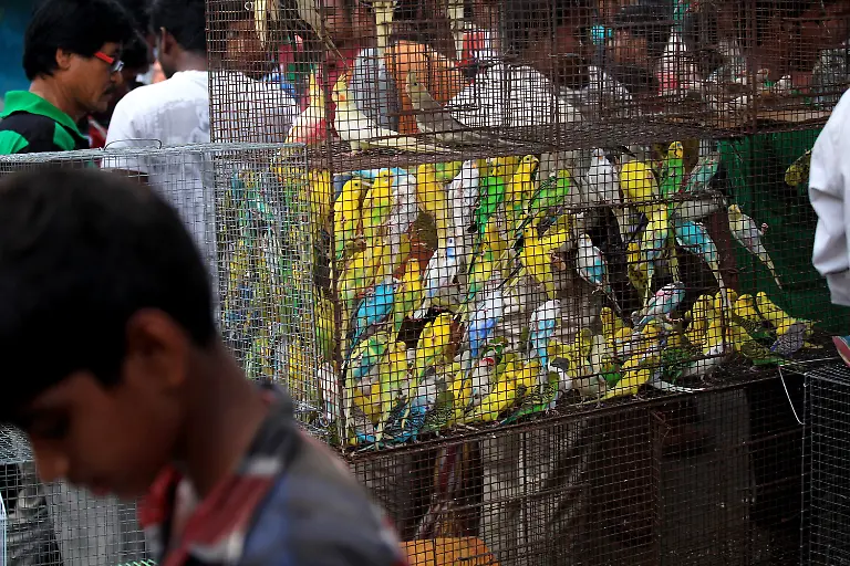 3csz4941-jpg8393496322839072458