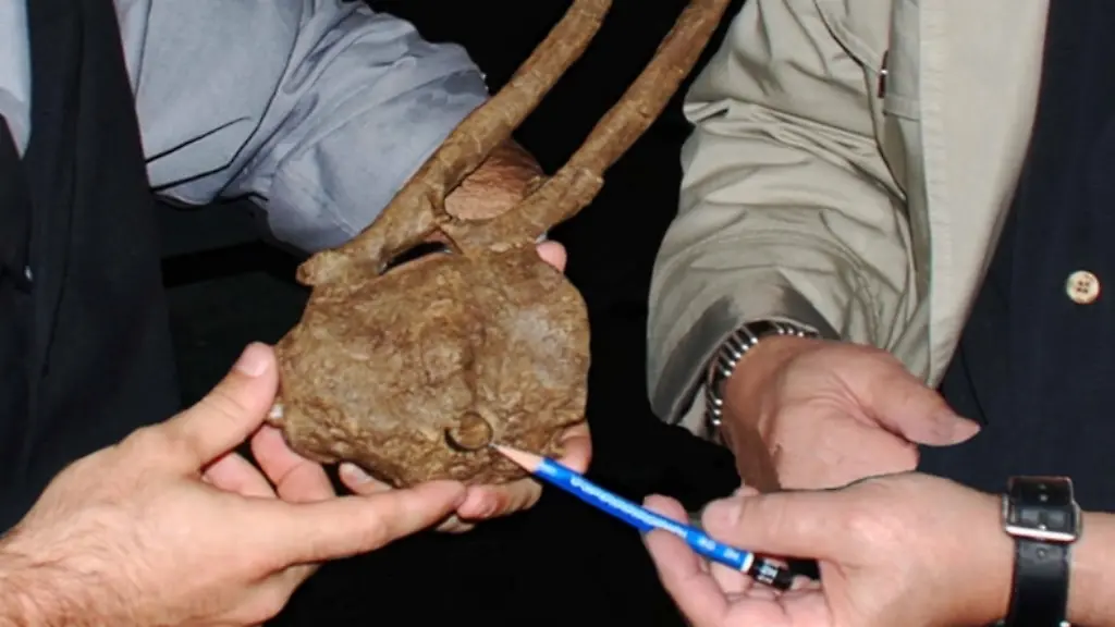 3ctl4812-jpg6812336310329710769