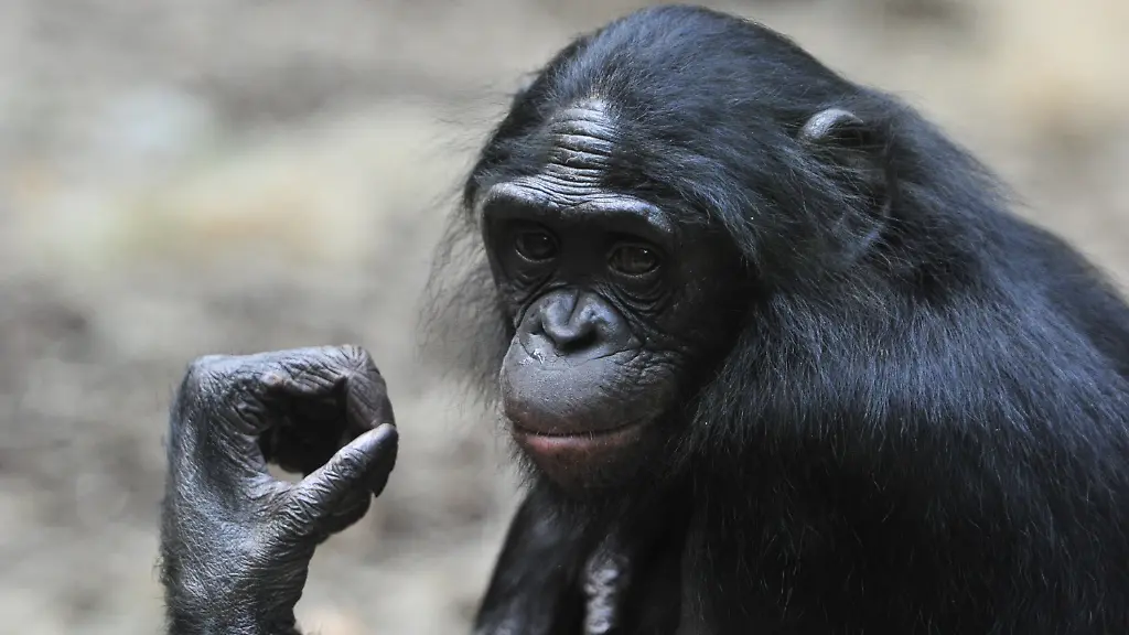 3ctr0459-jpg7188064202093489063