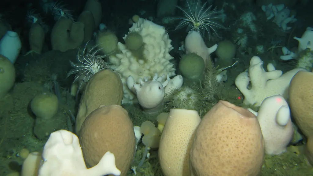 3cqx0034-jpg2248140763825591073