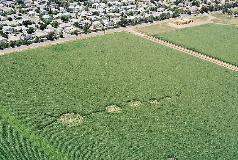 Vacaville-CA-Crop-Circle